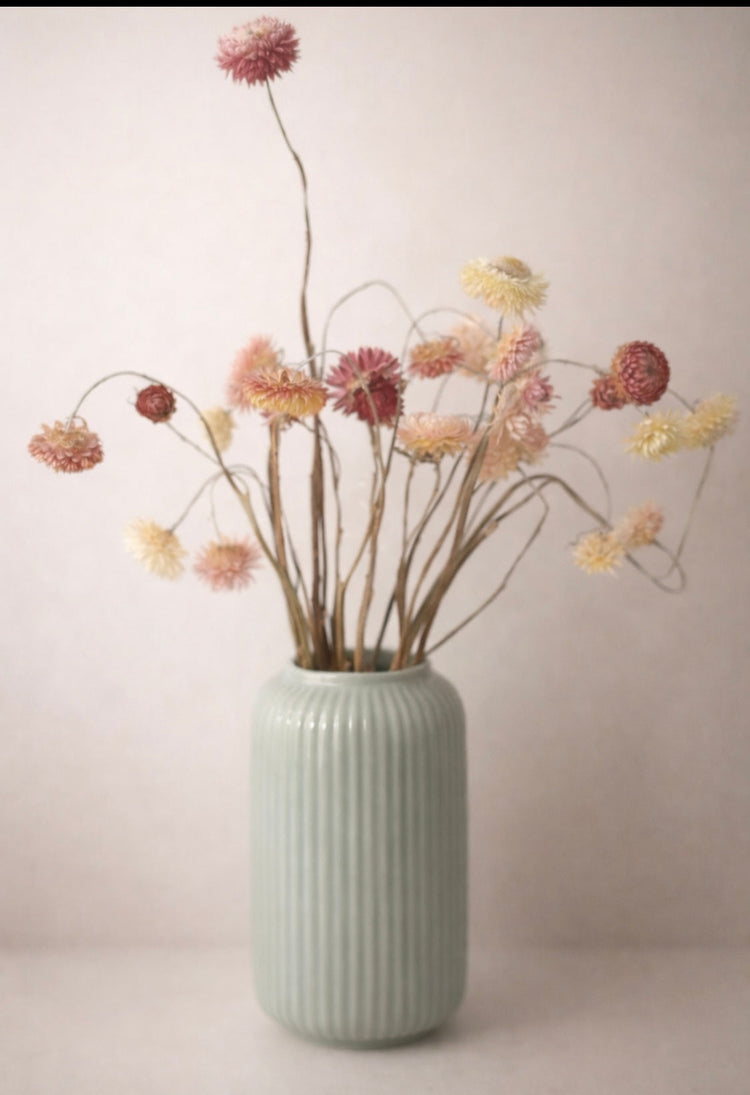 Our Dried Flowers